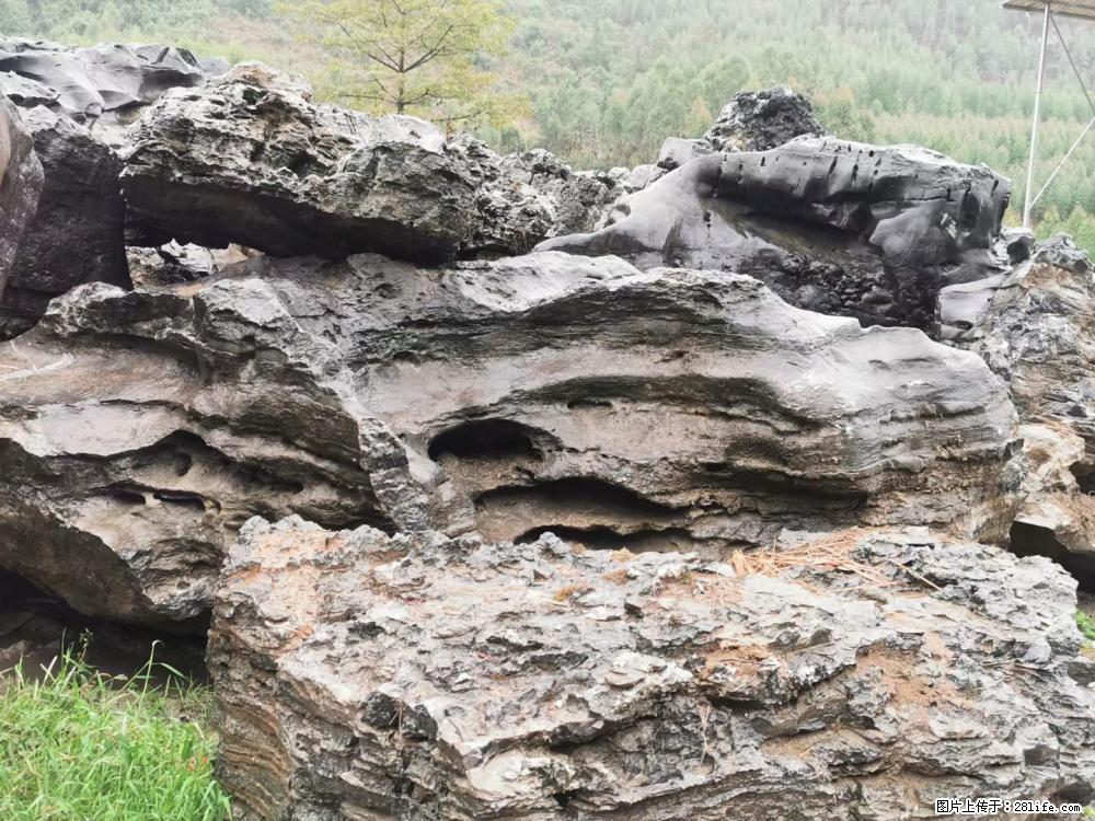 风景石、假山石大量有货，有需要的欢迎联系 - 新手上路 - 常德生活社区 - 常德28生活网 changde.28life.net