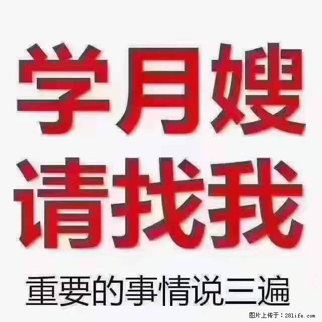 为什么要学习月嫂，育婴师？ - 其他广告 - 广告专区 - 常德分类信息 - 常德28生活网 changde.28life.net