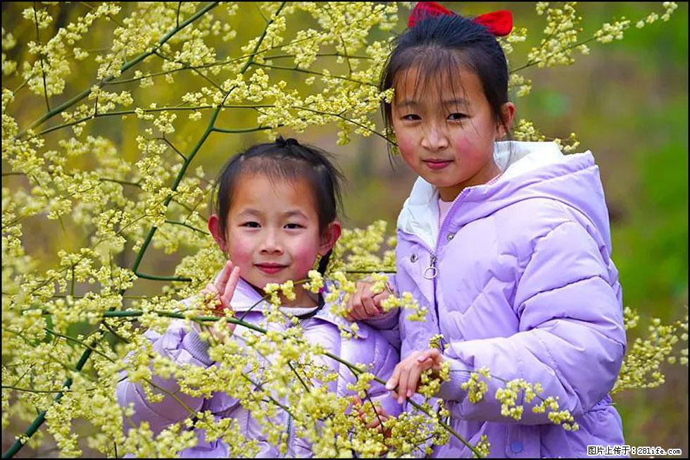 【春天，广西桂林灌阳县向您发出邀请！】米珠山前有片山苍子花在飘香 - 游山玩水 - 常德生活社区 - 常德28生活网 changde.28life.net