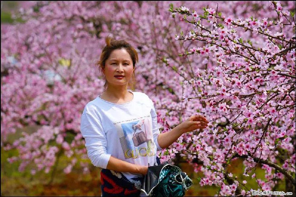 【春天，广西桂林灌阳县向您发出邀请！】官庄村有个醉美的桃花园 - 游山玩水 - 常德生活社区 - 常德28生活网 changde.28life.net