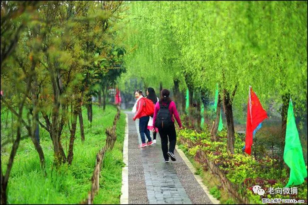 【春天，广西桂林灌阳县向您发出邀请！】江口老街又逢春 - 游山玩水 - 常德生活社区 - 常德28生活网 changde.28life.net