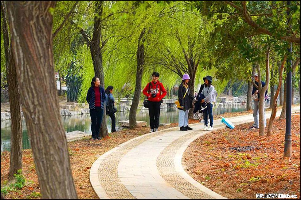 【春天，广西桂林灌阳县向您发出邀请！】江口老街又逢春 - 游山玩水 - 常德生活社区 - 常德28生活网 changde.28life.net