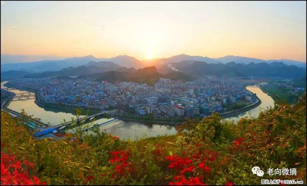 【春天，广西桂林灌阳县向您发出邀请！】登麒麟山，相约映山红 - 游山玩水 - 常德生活社区 - 常德28生活网 changde.28life.net
