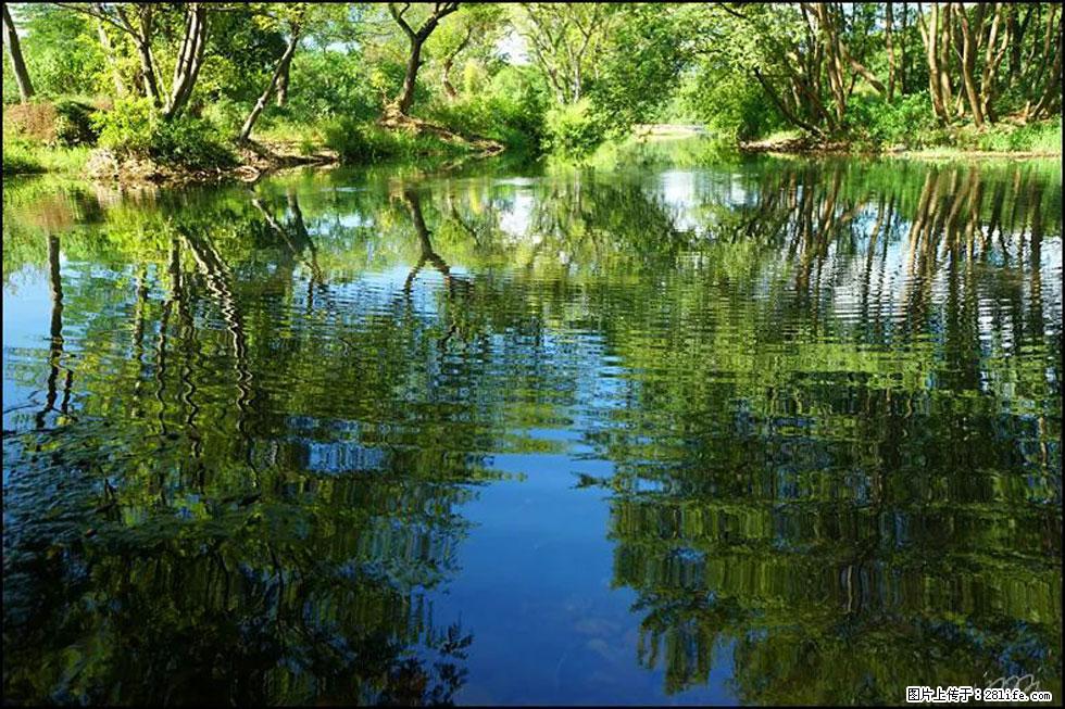 【春天，广西桂林灌阳县向您发出邀请！】熊家寨湿地公园 - 游山玩水 - 常德生活社区 - 常德28生活网 changde.28life.net