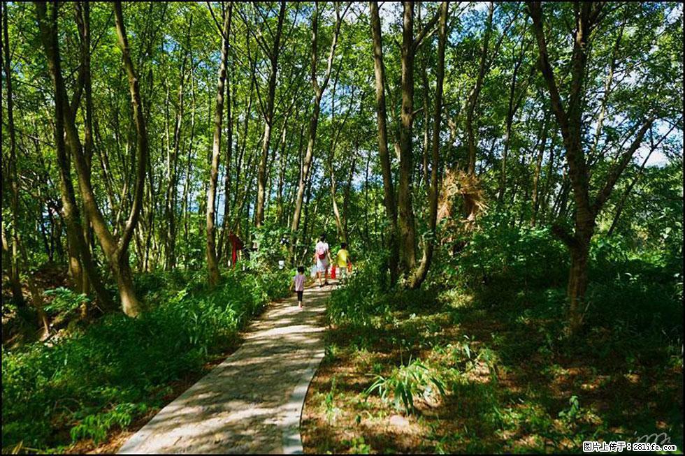 【春天，广西桂林灌阳县向您发出邀请！】熊家寨湿地公园 - 游山玩水 - 常德生活社区 - 常德28生活网 changde.28life.net