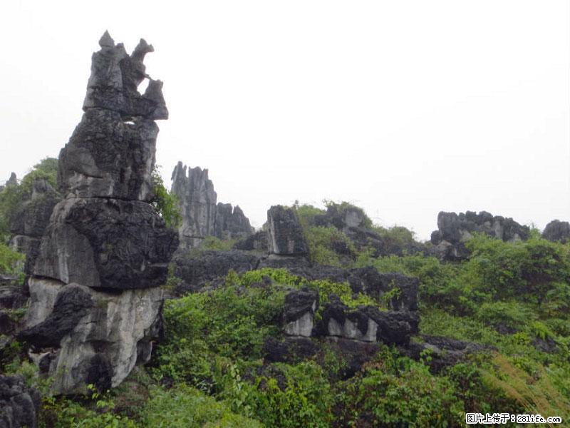 桂林旅游名城景点：灌阳文市石林 - 游山玩水 - 常德生活社区 - 常德28生活网 changde.28life.net
