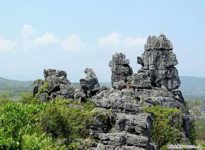 桂林旅游名城景点：灌阳文市石林 - 游山玩水 - 常德生活社区 - 常德28生活网 changde.28life.net