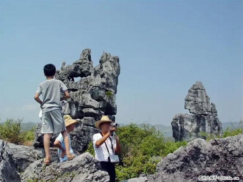 桂林旅游名城景点：灌阳文市石林 - 游山玩水 - 常德生活社区 - 常德28生活网 changde.28life.net