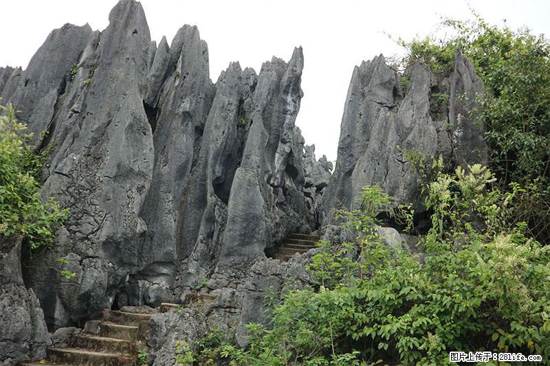 桂林旅游名城景点：灌阳文市石林 - 游山玩水 - 常德生活社区 - 常德28生活网 changde.28life.net