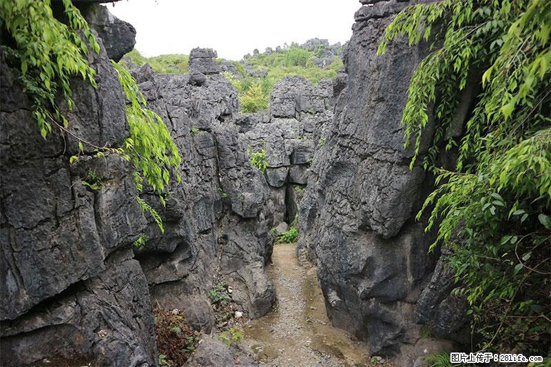 桂林旅游名城景点：灌阳文市石林 - 游山玩水 - 常德生活社区 - 常德28生活网 changde.28life.net