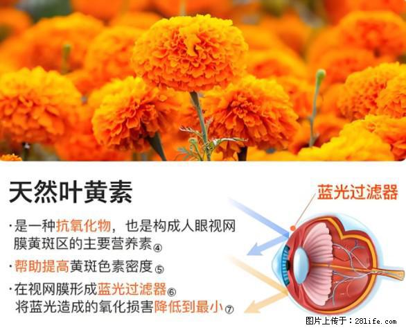 叶黄素有什么功效和作用 - 生活百科 - 常德生活社区 - 常德28生活网 changde.28life.net