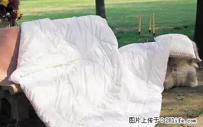 被子有异味？只要这样做，比晒太阳还强100倍！ - 家居生活 - 常德生活社区 - 常德28生活网 changde.28life.net