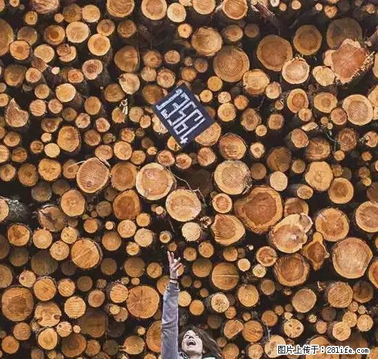 辞掉工作周游世界？现在他们在洗厕所…… - 游山玩水 - 常德生活社区 - 常德28生活网 changde.28life.net