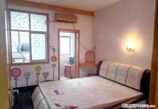 新2村 战备桥 梦园居附近 给你一个温馨的家 随时看房 - 常德28生活网 changde.28life.net