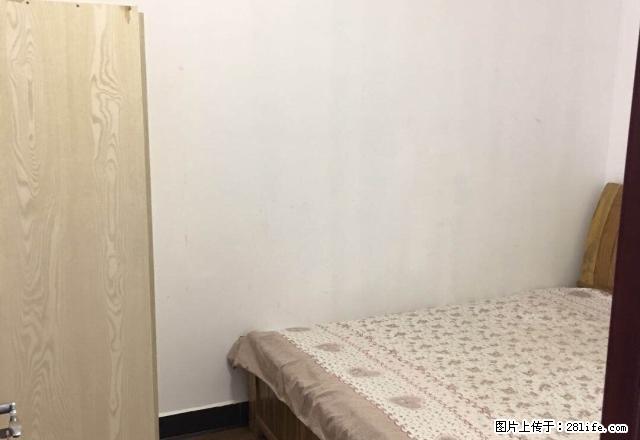 南坪小学对面 南坪安置小区 精装修 两房一厅 - 房屋出租 - 房屋租售 - 常德分类信息 - 常德28生活网 changde.28life.net