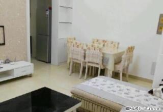 高山街附近正规两房鸿鑫桃林家具齐全 拎包入住 - 常德28生活网 changde.28life.net