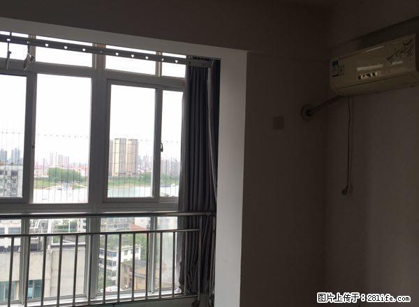 高山街 水星楼 政务中心 城市公馆 精装一房 家电齐全 - 房屋出租 - 房屋租售 - 常德分类信息 - 常德28生活网 changde.28life.net