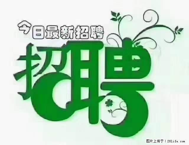 【招聘摄像师】待遇：试用期6000元/月，转正7000元/月+五险一金+餐补+节日福利+奖金 - 其他招聘信息 - 招聘求职 - 常德分类信息 - 常德28生活网 changde.28life.net