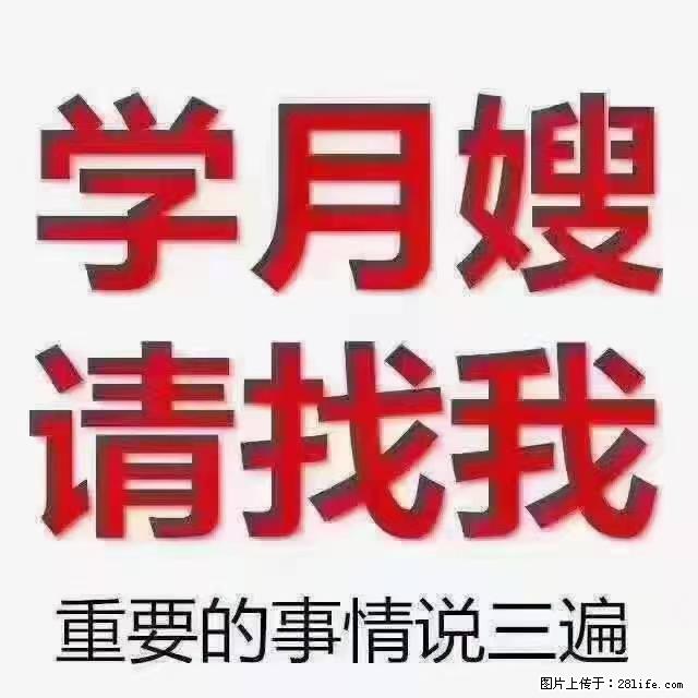 【招聘】月嫂，上海徐汇区 - 职场交流 - 常德生活社区 - 常德28生活网 changde.28life.net