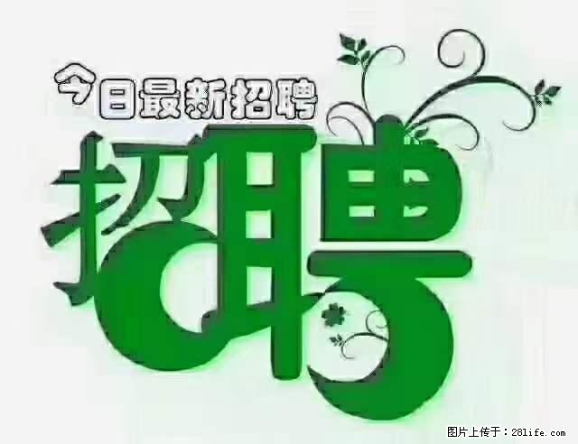 上海隔离酒店招人：55岁以下 男女不限 - 职场交流 - 常德生活社区 - 常德28生活网 changde.28life.net