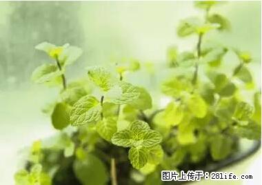 晕车、脚气、牙齿变黄、皮肤粗糙？学会这些三分钟搞定！ - 常德生活资讯 - 常德28生活网 changde.28life.net