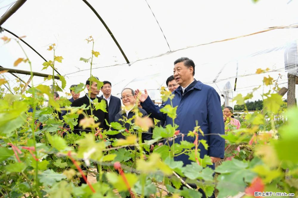 习近平赴广西考察调研 - 常德生活资讯 - 常德28生活网 changde.28life.net
