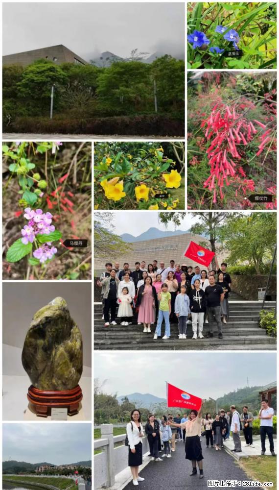 “粤灌文化 美好生活”油茶文化主题活动在广东深圳成功举办 - 常德生活资讯 - 常德28生活网 changde.28life.net