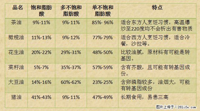 揭秘茶油的5大核心营养成分！被称为人体健康的“守护盾”！ - 常德生活资讯 - 常德28生活网 changde.28life.net