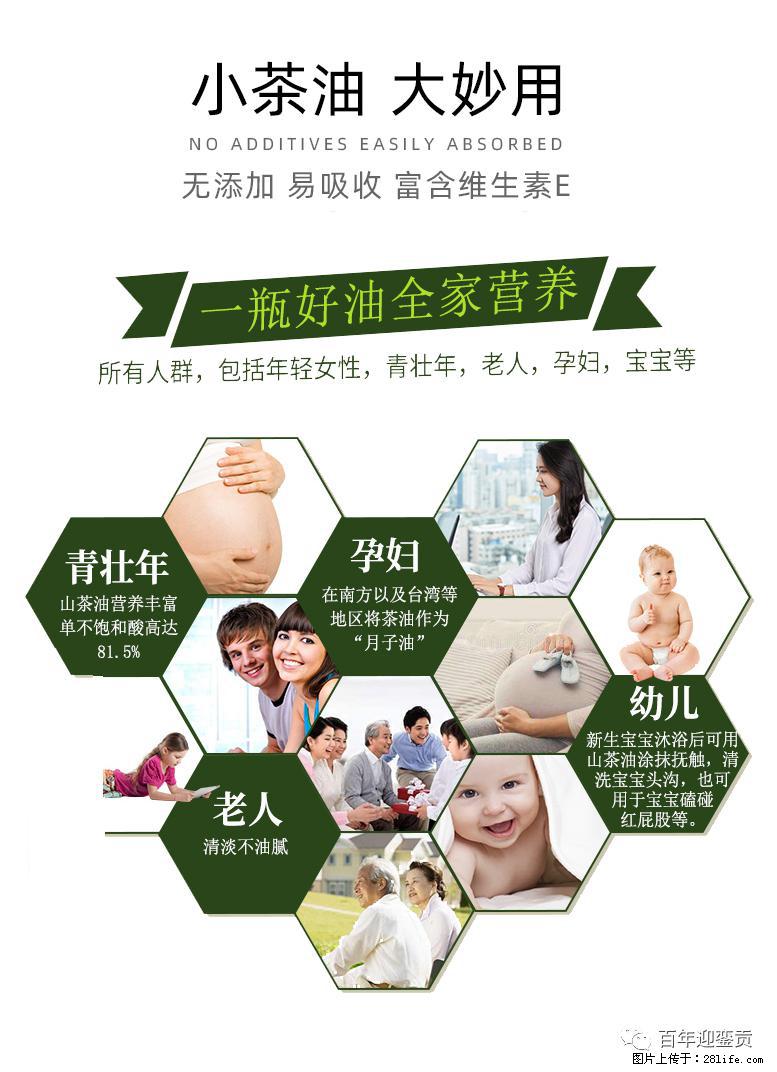 世界没有真相，只有认知，最好的食用油是中国的山茶油！ - 常德生活资讯 - 常德28生活网 changde.28life.net