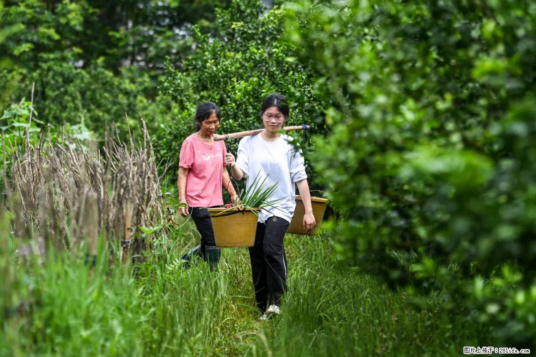 全网追的“扁担女孩”，找了一份暑假工，时薪12元 - 常德生活资讯 - 常德28生活网 changde.28life.net