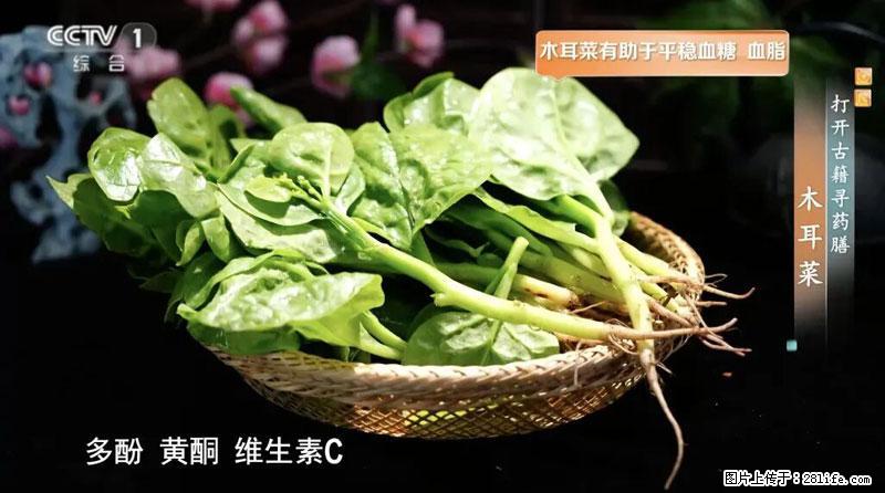 比牛奶补钙还厉害！凉血解毒、稳血糖...这菜冬天必吃，很多人却当草 - 常德生活资讯 - 常德28生活网 changde.28life.net