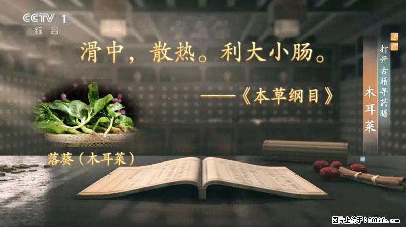 比牛奶补钙还厉害！凉血解毒、稳血糖...这菜冬天必吃，很多人却当草 - 常德生活资讯 - 常德28生活网 changde.28life.net