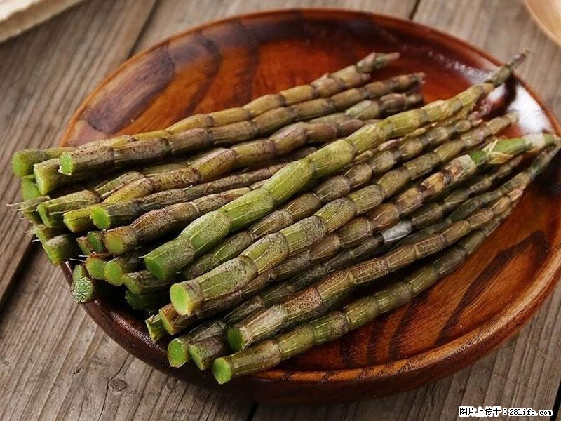 铁皮石斛的作用与功能主治 - 常德生活资讯 - 常德28生活网 changde.28life.net